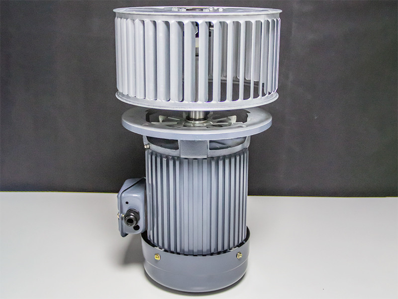 高壓風(fēng)機(jī)專用高溫馬達(dá) 高壓風(fēng)機(jī)專用高溫馬達(dá)